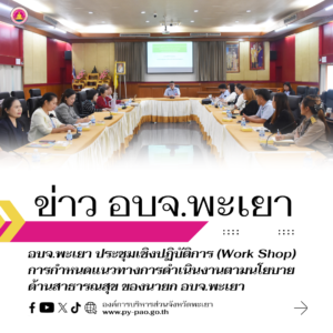 องค์การบริหารส่วนจังหวัดพะเยา ประชุมเชิงปฏิบัติการ (Work Shop) การกำหนดแนวทางการดำเนินงานตามนโยบายด้านสาธารณสุข ของนายกองค์การบริหารส่วนจังหวัดพะเยา